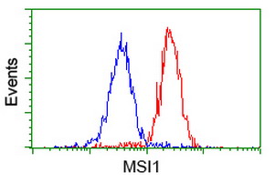 m05052 2 anti msi1 mouse monoclonal antibody clone id oti1g8 flow cytometry testing 7