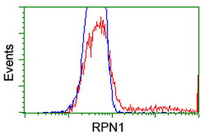 m05063 anti ribophorin i rpn1 mouse monoclonal antibody clone id oti3e1 flow cytometry testing 11