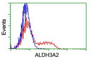 m05079 2 anti aldehyde dehydrogenase 10 aldh3a2 mouse monoclonal antibody clone id oti2a7 flow cytometry testing 6