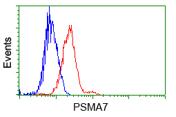 m05091 anti psma7 mouse monoclonal antibody clone id oti8f9 flow cytometry testing 2
