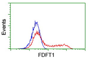 m05118 1 anti fdft1 mouse monoclonal antibody clone id oti1h9 flow cytometry testing 9