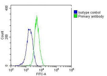 m05148 anti rab5c antibody fc testing 2