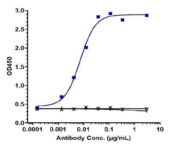 Immobilized human SIRPalpha V1 FC at4 &mug/mL can bind Anti-SIRPa/CD172a Reference Antibody (Hospital for Sick Children patent anti-SIRPA)