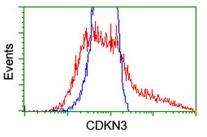 m05157 anti cdkn3 mouse monoclonal antibody clone id oti2e11 flow cytometry testing 8