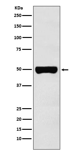m05180 wb