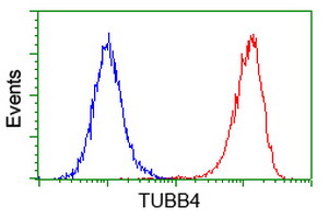 m05184 anti beta iv tubulin tubb4a mouse monoclonal antibody clone id oti3c12 flow cytometry testing 14