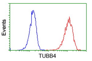 m05184 anti beta iv tubulin tubb4a mouse monoclonal antibody clone id oti3c12 flow cytometry testing 15