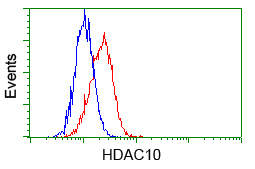 m05215 2 anti hdac10 mouse monoclonal antibody clone id oti7c3 flow cytometry testing 5