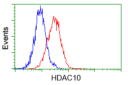 m05215 2 anti hdac10 mouse monoclonal antibody clone id oti7c3 flow cytometry testing 6