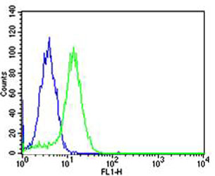 m05225 1 anti usp11 antibody c term r565 fc testing 2