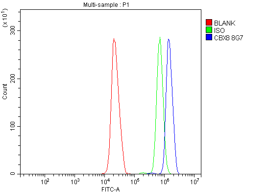  Flow Cytometry analysis of HL-60 cells using anti-Cbx8 antibody (M05234)