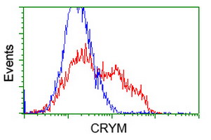 m05298 anti mu crystallin crym mouse monoclonal antibody clone id oti1g7 flow cytometry testing 11
