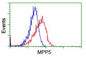 m05311 anti mpp5 mouse monoclonal antibody clone id oti2d3 flow cytometry testing 3