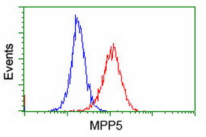 m05311 anti mpp5 mouse monoclonal antibody clone id oti2d3 flow cytometry testing 4