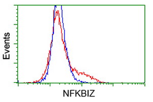 m05312 anti ikb zeta nfkbiz mouse monoclonal antibody clone id oti1e8 flow cytometry testing 2