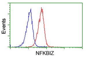 m05312 anti ikb zeta nfkbiz mouse monoclonal antibody clone id oti1e8 flow cytometry testing 4
