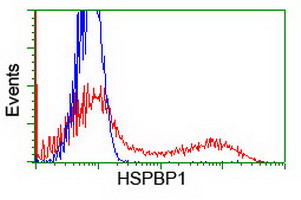 m05380 anti hspbp1 mouse monoclonal antibody clone id oti1d5 flow cytometry testing 10