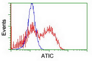 HEK293T cells transfected with either ATIC (Myc-DDK-tagged) overexpress plasmid (Red) or empty vector control plasmid (Blue) were immunostained by anti-ATIC antibody (M05404-1)