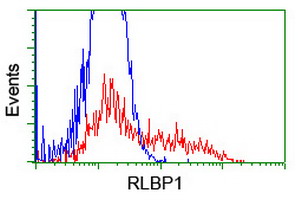 m05421 1 anti cralbp rlbp1 mouse monoclonal antibody clone id oti1g6 flow cytometry testing 6