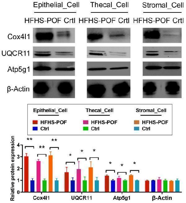 m05442 1 fsn3 13 e70973 g006