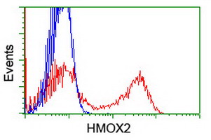 m05506 1 anti heme oxygenase 2 hmox2 mouse monoclonal antibody clone id oti1h10 flow cytometry testing 5