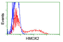 m05506 anti heme oxygenase 2 hmox2 mouse monoclonal antibody clone id oti1c2 flow cytometry testing 14