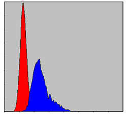 Flow Cytometry validation of CCT2 using Anti-TCP-1 beta CCT2 Monoclonal Antibody (M05524-1)