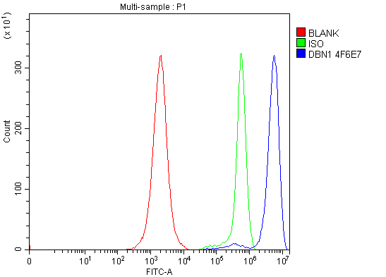 m05530 4 dbn1 primary antibodies fcm testing 5