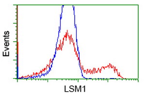 m05573 anti lsm1 mouse monoclonal antibody clone id oti5c6 flow cytometry testing 7