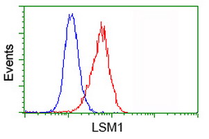 m05573 anti lsm1 mouse monoclonal antibody clone id oti5c6 flow cytometry testing 8