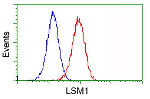m05573 anti lsm1 mouse monoclonal antibody clone id oti5c6 flow cytometry testing 9
