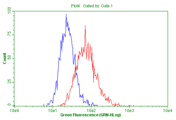 m05574 anti ptp epsilon ptpre mouse monoclonal antibody clone id oti3d4 flow cytometry testing 10
