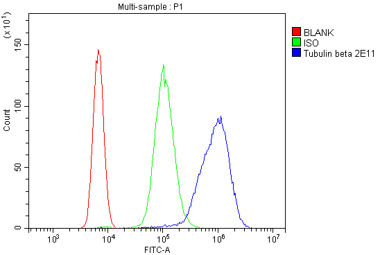 m05613 4 tubulin_beta primary antibodies fc testing 5