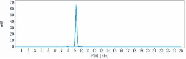 The purity of Anti-ENPP3/CD203c Reference Antibody (Ags-16C3F)is more than 95%
