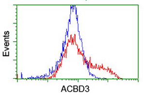 m05645 anti acbd3 mouse monoclonal antibody clone id oti1g2 flow cytometry testing 14