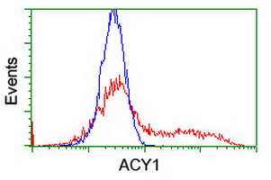 m05650 1 anti aminoacylase 1 acy1 mouse monoclonal antibody clone id oti1d4 flow cytometry testing 8