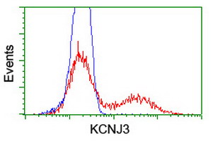m05677 anti girk1 kcnj3 mouse monoclonal antibody clone id oti3e11 flow cytometry testing 6