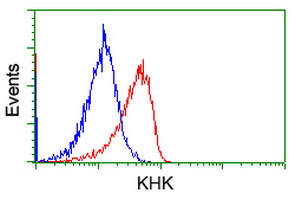 m05682 anti ketohexokinase khk mouse monoclonal antibody clone id oti3d1 flow cytometry testing 21