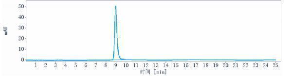 The purity of Anti-LIV-1/SLC39A6 Reference Antibody ((ladiratuzumab vedotin)is more than 98