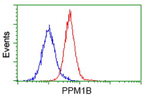 Flow cytometric Analysis of Hela cells