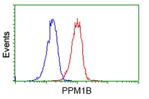 m05731 1 anti ppm1b mouse monoclonal antibody clone id oti3c9 flow cytometry testing 4