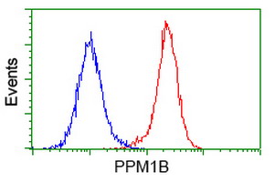 m05731 anti ppm1b mouse monoclonal antibody clone id oti3f2 flow cytometry testing 5