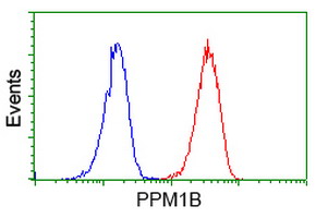 m05731 anti ppm1b mouse monoclonal antibody clone id oti3f2 flow cytometry testing 6