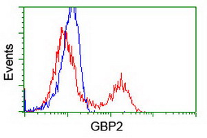 m05737 anti gbp2 mouse monoclonal antibody clone id oti5c8 flow cytometry testing 14