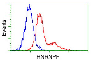 m05806 anti hnrnp f hnrnpf mouse monoclonal antibody clone id oti5f5 flow cytometry testing 10