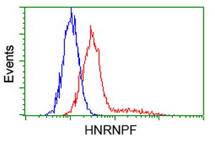 m05806 anti hnrnp f hnrnpf mouse monoclonal antibody clone id oti5f5 flow cytometry testing 9