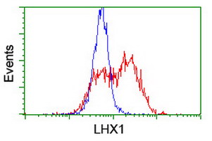 m05816 anti lim1 lhx1 mouse monoclonal antibody clone id oti2d5 flow cytometry testing 8