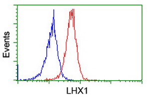 m05816 anti lim1 lhx1 mouse monoclonal antibody clone id oti2d5 flow cytometry testing 9