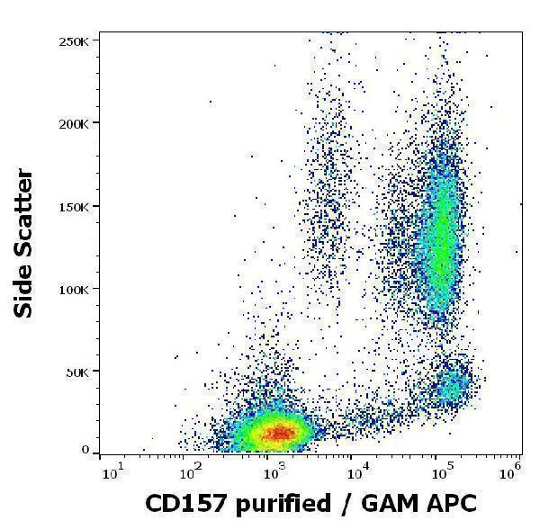 Flow cytometry surface staining pattern of human peripheral whole blood stained using anti-human CD157 (SY11B5) purified antibody (concentration in sample 4 µg/ml, GAM APC)