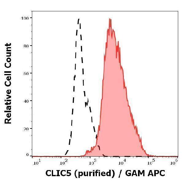Separation of NALM-6 cells stained using anti-CLIC5 (CLIC5-02) purified antibody (concentration in sample 5 µg/ml, GAM APC, red-filled) from NALM-6 cells unstained by primary antibody (GAM APC, black-dashed) in flow cytometry analysis (intracellular staining)